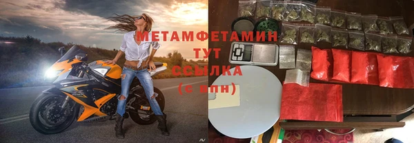 индика Богородицк