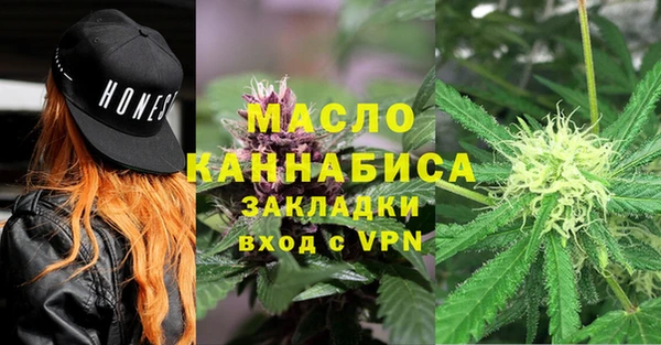 индика Богородицк