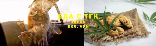 индика Богородицк