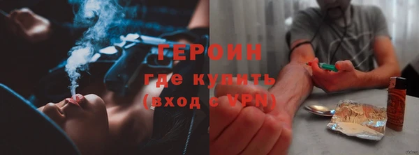 индика Богородицк