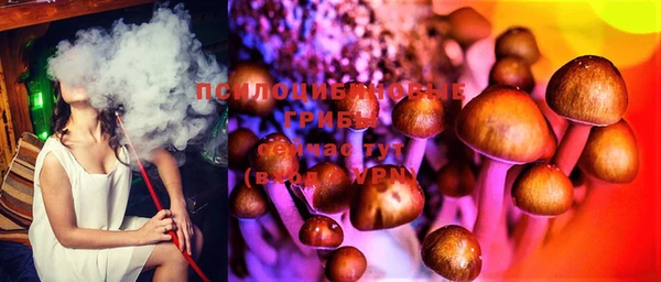 ECSTASY Бронницы
