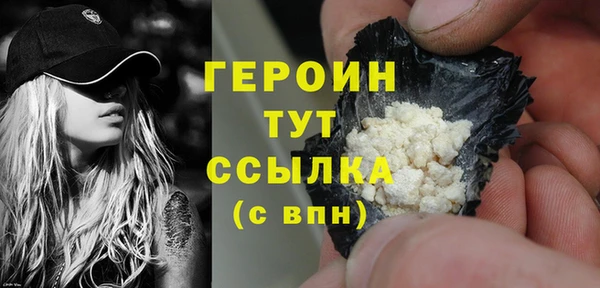 прущий лед Бородино