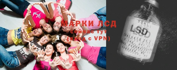 индика Богородицк